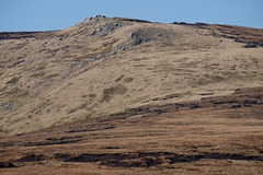 Shelf Stones on Bleaklow