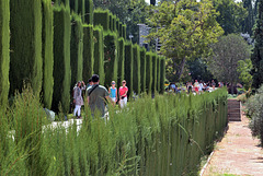 Generalife - Der Hauptweg West