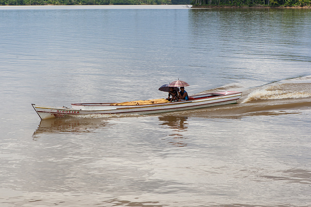 Amazonas-0608