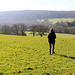 Country Walk