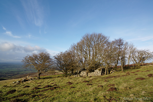 Blakemoorflat Shropshire