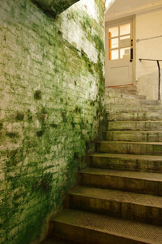 Steps from the underground corridor up to the shop