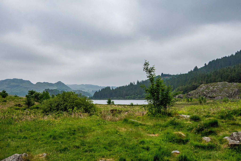 Lake Mymbyr landscape