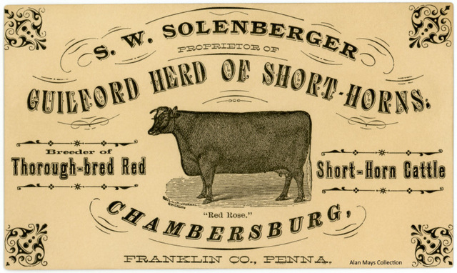 S. W. Solenberger, Proprietor of the Guilford Herd of Short-Horn Cattle, Chambersburg, Pa.