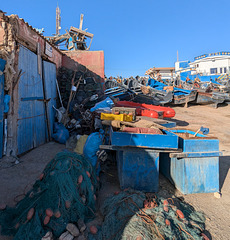 Capharnaüm halieutique / Fishery chaos