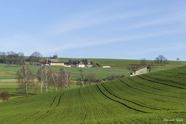 Landwirtschaft in Oberhallau