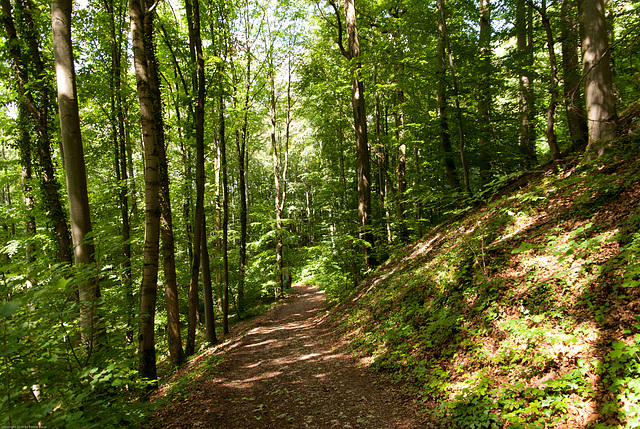 Gügel und Giechburg