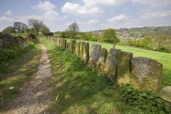 Stone fence