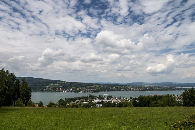 Blick auf Steckborn und den Untersee