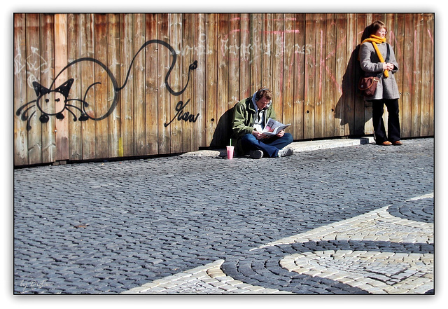 Have a break - have a fence! (◕‿-)