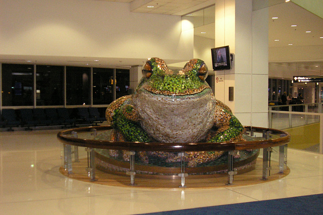 Giant Frog At Sydney Airport