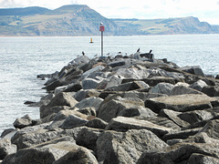 The Cobb, Lyme Regis