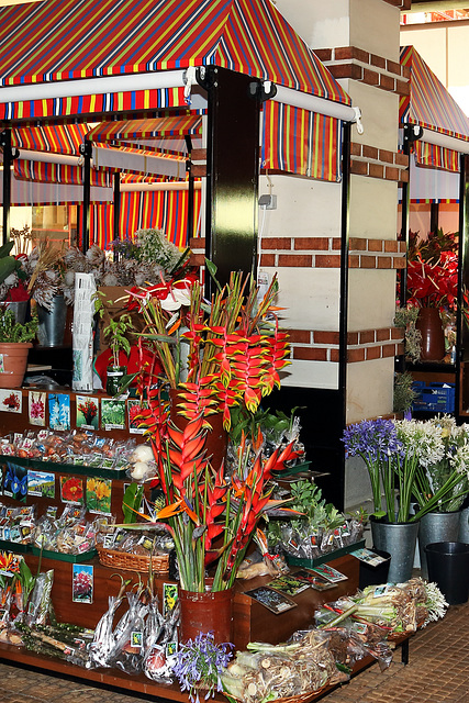 Funchal - Mercado dos Lavradores (27)