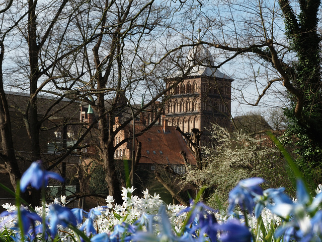 Blick zum Burgtor