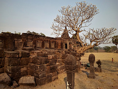 Ruines d'un passé lointain.......(Laos)