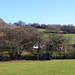 Country Walk
