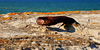 Strand, Prora, Rügen