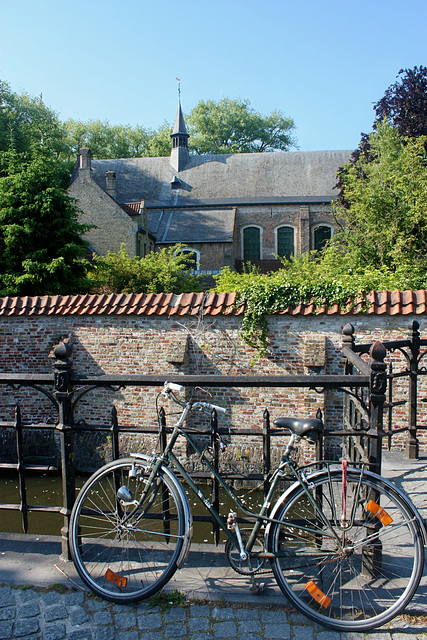 How long has this bicycle been attached to the fence? HFF!