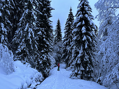 Winter in Norway