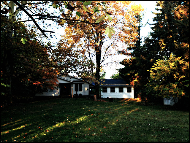 Backyard Fall