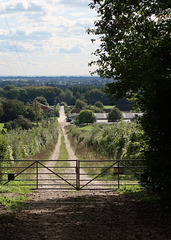 Road to the sea