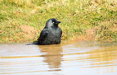 Bath time