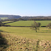 Country Walk