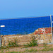 Strand, Prora, Rügen
