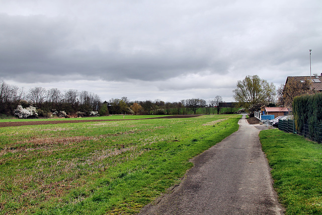 An der Schwarzen Saline (Unna-Königsborn) / 16.03.2024