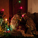 Joyeux Noël, Merry Christmas, Buon Natale, Feliz Navidad, Frohe Weihnachten