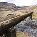 Concrete covered pipe