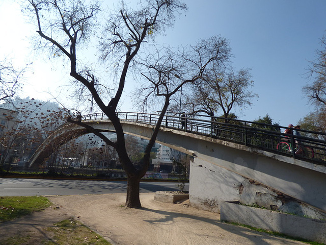 Puente Rakalamak en Santiago