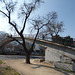 Puente Rakalamak en Santiago