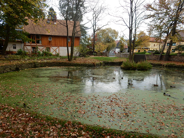 Schloss Seifersdorf (5)