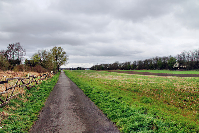 An der Schwarzen Saline (Unna-Königsborn) / 16.03.2024