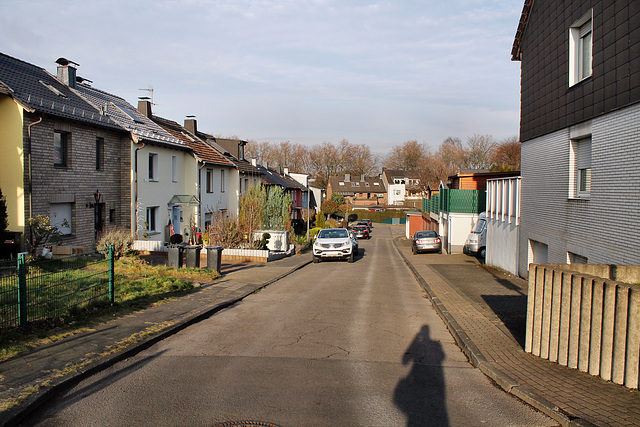 Kaldeweyerstraße (Bochum-Hiltrop) / 10.12.2016