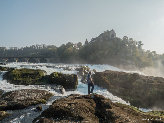 Rheinfall 7