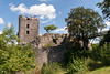 Burgruine Neideck