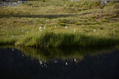 Norway, Lofoten Islands, The Reflection