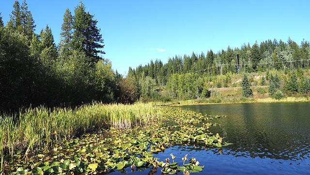 Hush Lake, BC