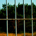 Strand, Prora, Rügen