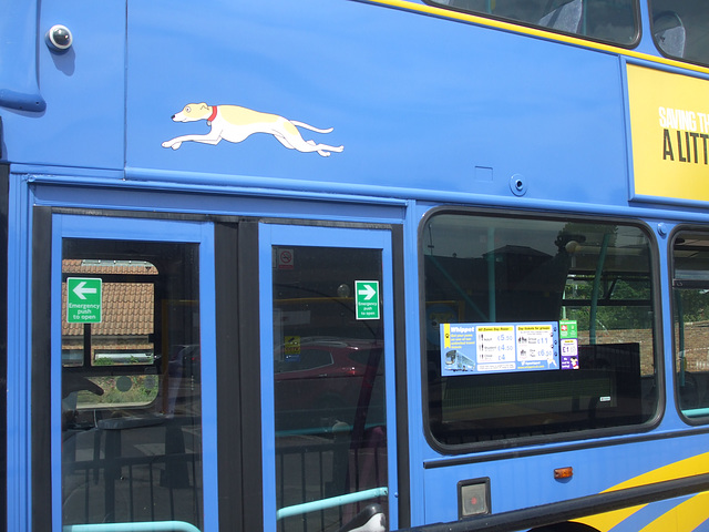 DSCF4545 Whippet Coaches LK54 LFE in Newmarket bus station - 22 Jul 2016