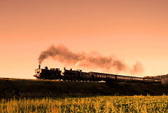 Evening train to Holt