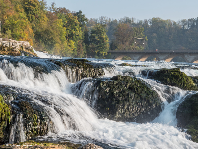 Rheinfall 6