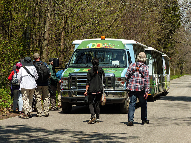 Day 4, shuttle, Point Pelee, Ontario