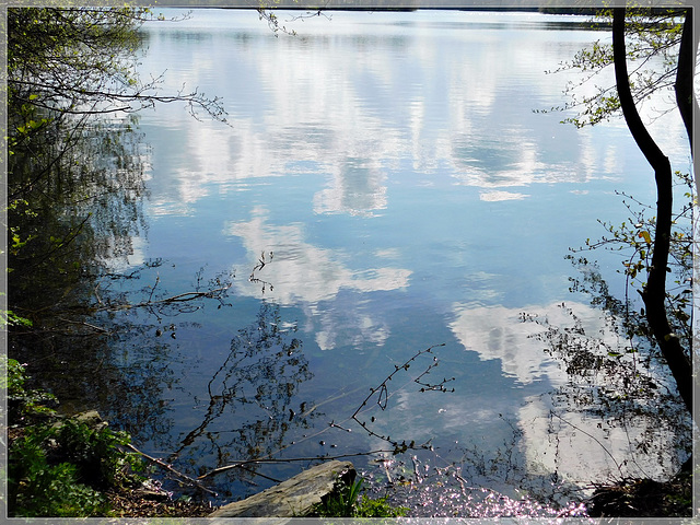 Reflets à l'étang de Bétineuc (22)