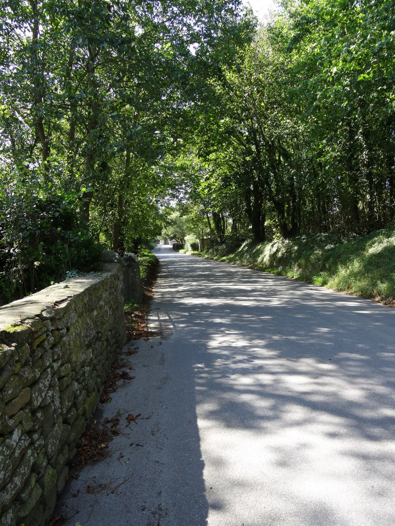 aysep2019sv (1140)