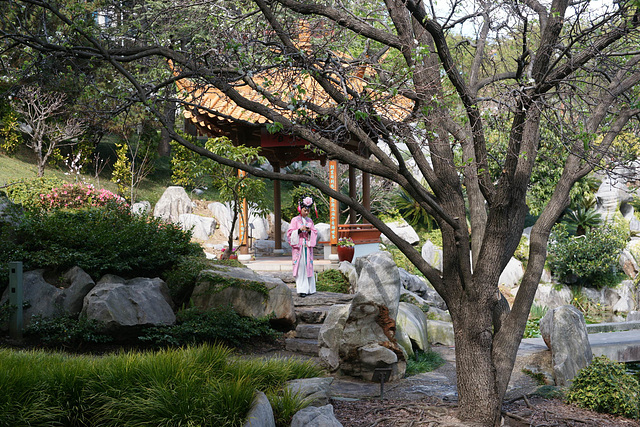 Chinese Garden Of Friendship