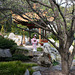 Chinese Garden Of Friendship