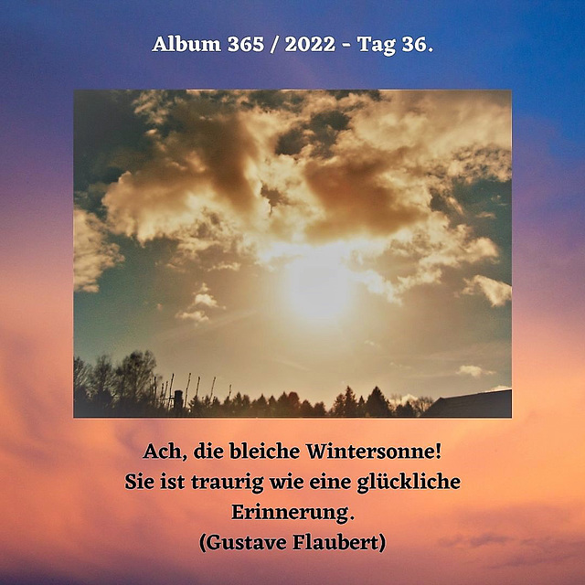 Album 365 / 2022 - Tag 36.